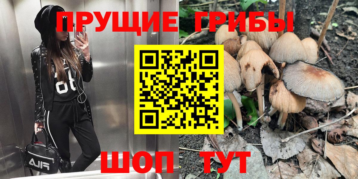 Галлюциногенные грибы Psilocybe  Вход с VPN  Псилоцибиновые грибы Magic Shrooms  Березники 