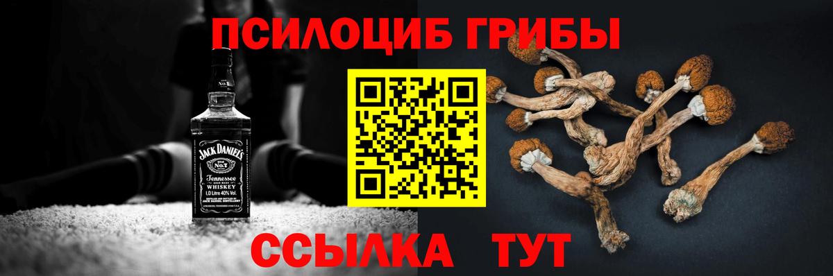 Псилоцибиновые грибы мицелий Березники